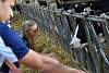 Youth AgDay 2013-080.jpg