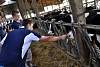 Youth AgDay 2013-081.jpg