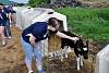 Youth AgDay 2013-084.jpg