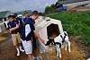 Youth AgDay 2013-090.jpg