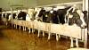 Youth AgDay 2013-329.jpg