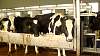 Youth AgDay 2013-330.jpg