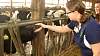 Youth AgDay 2013-343.jpg