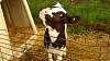 Youth AgDay 2013-352.jpg