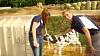 Youth AgDay 2013-355.jpg