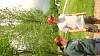 Youth AgDay 2013-433.jpg