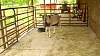 Youth AgDay 2013-448.jpg