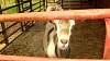 Youth AgDay 2013-449.jpg