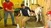 Youth AgDay 2013-452.jpg