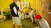 Youth AgDay 2013-455.jpg