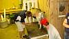 Youth AgDay 2013-457.jpg