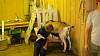 Youth AgDay 2013-461.jpg
