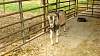 Youth AgDay 2013-464.jpg
