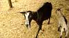 Youth AgDay 2013-467.jpg