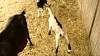 Youth AgDay 2013-468.jpg