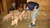 Youth AgDay 2013-472.jpg