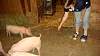 Youth AgDay 2013-474.jpg