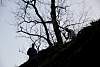 Youth Retreat 2013-256.jpg